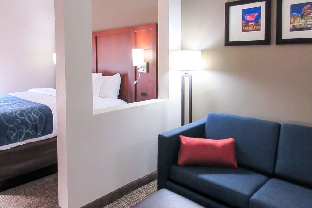 Comfort Suites Greensboro-High Point Номер фото