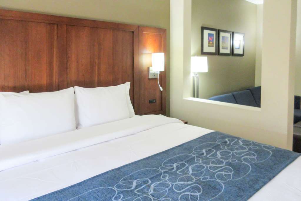 Comfort Suites Greensboro-High Point Номер фото