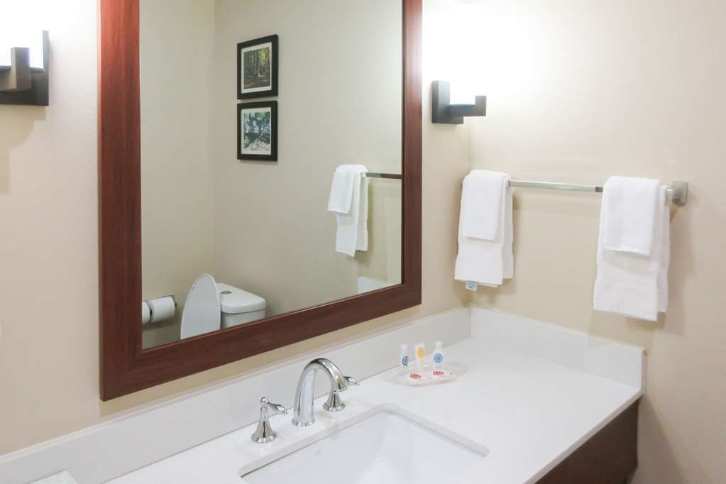 Comfort Suites Greensboro-High Point Номер фото